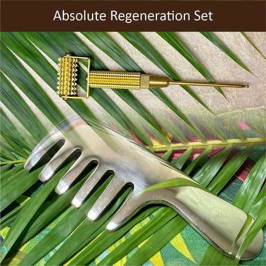 Absolute Regeneration Set