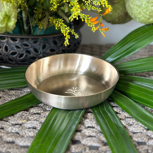 Delight Dish