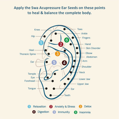 Acupressure Ear Seeds